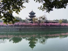 -望江楼公园