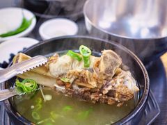 -莲洞本家