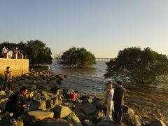 -宝安西湾红树林湿地公园