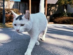 -径山寺