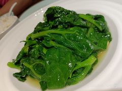 清炒木耳菜-聚缘堂·海鲜私房菜(松岭路店)