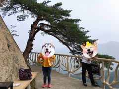 -丹东凤凰山景区