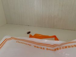 -海豚湾高端月子会所(黄浦店)