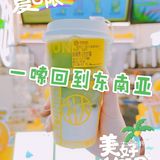 一嗦回到东南亚，很可以很可以