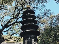 -普陀山风景名胜区-法雨禅寺