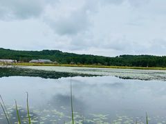 -塞罕坝国家级自然保护区