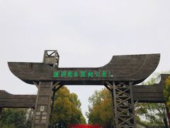 -溱湖国家湿地公园