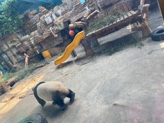 -石家庄市动物园