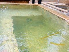 -春晖园度假酒店温泉