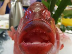 -高老庄新家宴(北斗星广场店)