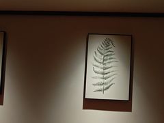 -沐善人家中医·推拿·理疗·三伏灸(新洲店)