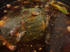 -金海椒罐罐鲢鱼(东方桂苑店)