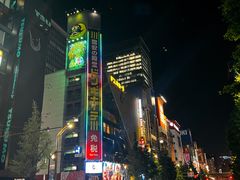 -秋叶原电器街