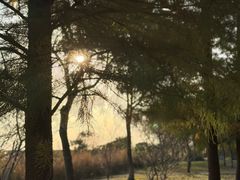 -南湖湿地公园