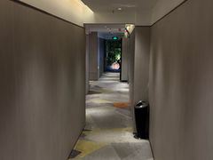 -金色希望596