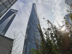 -上海中心大厦