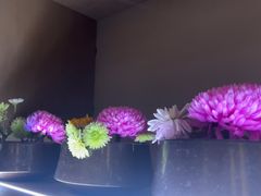 -海立阁海鲜江浙菜(漕河泾印象城店)