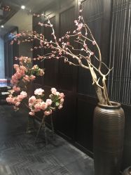 -盘子女人坊古装写真摄影(深圳店)