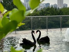 -行者书屋大堂吧 ·下午茶(南京圣和府邸酒店)