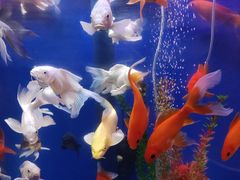 -海逸餐厅·象山海鲜