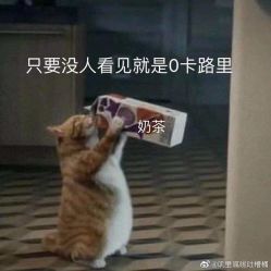 -尔素·半永久纹眉·野生眉