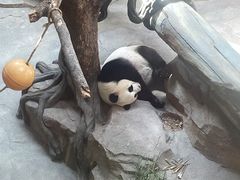 -宁波野生动物园