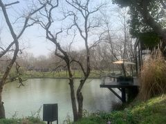 -木守西溪溪隐餐厅