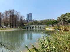 -四海公园(南山区)