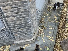 -长春观