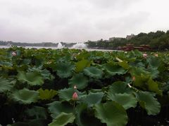 IMG00029-20120717-1612-西湖游船