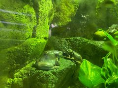 -迪拜水族馆及水下动物园