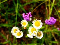 -杭州城北体育公园