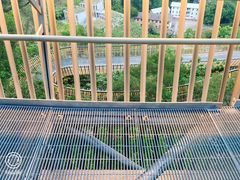 -福道