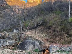 -北京密云天门山风景区