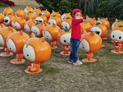 -上海长兴岛郊野公园