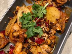 -佬肥猫(七宝宝龙店)