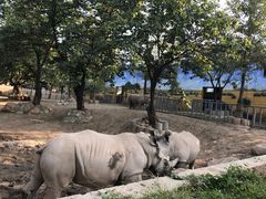 -西安秦岭野生动物园