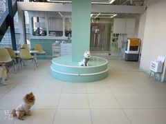 -怪兽屋·羊驼·猫咖·狗咖(俊华广场店)