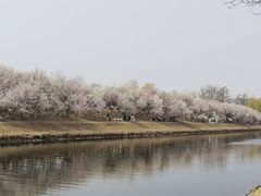 -坝河休闲公园