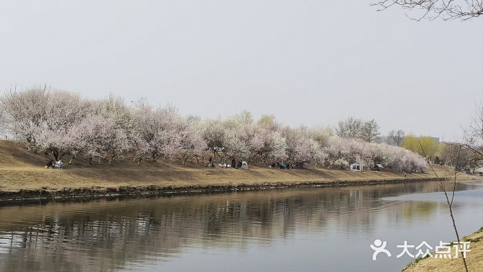坝河休闲公园图片