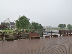 -鹅湖玫瑰文化园