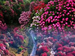 -万峰林风景区