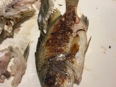 -厦门艾美酒店·新食谱西餐厅