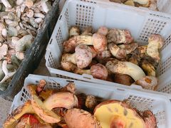 -双喜农庄·菌香园(安居家园店)