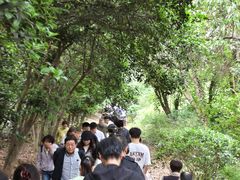 -采石矶景区