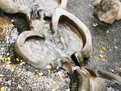 -成都市活水公园
