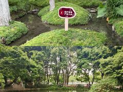 -成都市活水公园