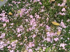 -芳芳餐厅(白沙路店)