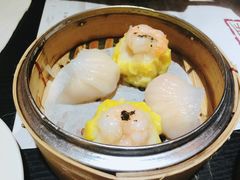 -糖朝(尖沙咀店)