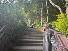 -仙岳公园